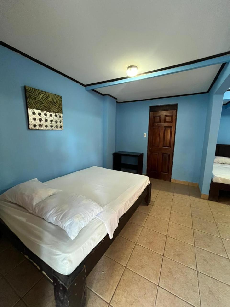 مبيت وإفطار Tárcoles House Of The Macaws المظهر الخارجي الصورة